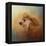 Enjoying the Breeze Apricot Poodle-Jai Johnson-Framed Premier Image Canvas