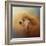 Enjoying the Breeze Apricot Poodle-Jai Johnson-Framed Giclee Print