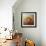 Enjoying the Breeze Apricot Poodle-Jai Johnson-Framed Giclee Print displayed on a wall