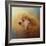 Enjoying the Breeze Apricot Poodle-Jai Johnson-Framed Giclee Print