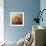 Enjoying the Breeze Apricot Poodle-Jai Johnson-Framed Giclee Print displayed on a wall