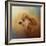 Enjoying the Breeze Apricot Poodle-Jai Johnson-Framed Giclee Print