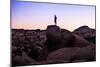 Enjoying The Last Light In The Desert Of Joshua Tree National Park-Daniel Kuras-Mounted Photographic Print