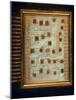 Enlargement of IBM Computer Switching Unit Containing 26 Circuitry Chips-Henry Groskinsky-Mounted Photographic Print