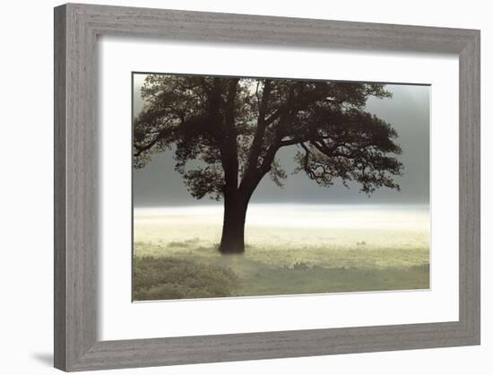 Enlighten Me-Assaf Frank-Framed Giclee Print