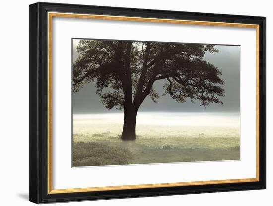 Enlighten Me-Assaf Frank-Framed Giclee Print