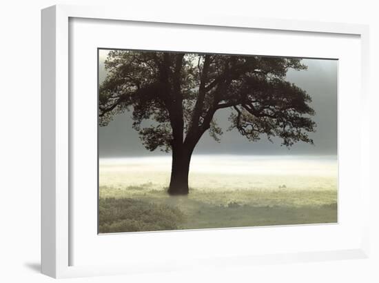 Enlighten Me-Assaf Frank-Framed Giclee Print