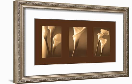 Enlightenment-Cinzia Ryan-Framed Giclee Print