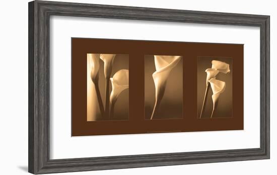 Enlightenment-Cinzia Ryan-Framed Giclee Print