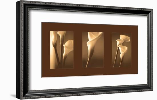 Enlightenment-Cinzia Ryan-Framed Giclee Print