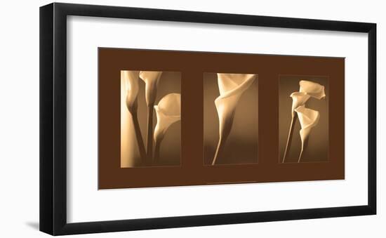 Enlightenment-Cinzia Ryan-Framed Giclee Print