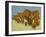 Enormous But Caring-Pat Scott-Framed Giclee Print