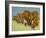 Enormous But Caring-Pat Scott-Framed Giclee Print