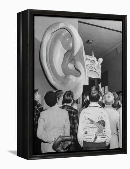 Enormous Ear on Display at Dallas Health Museum Demonstrates to Students How Sense of Balance Works-Michael Rougier-Framed Premier Image Canvas