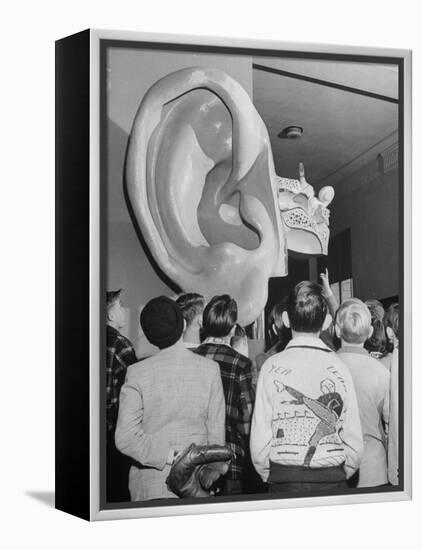 Enormous Ear on Display at Dallas Health Museum Demonstrates to Students How Sense of Balance Works-Michael Rougier-Framed Premier Image Canvas