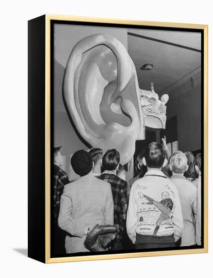 Enormous Ear on Display at Dallas Health Museum Demonstrates to Students How Sense of Balance Works-Michael Rougier-Framed Premier Image Canvas