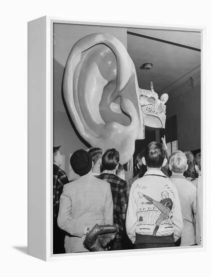 Enormous Ear on Display at Dallas Health Museum Demonstrates to Students How Sense of Balance Works-Michael Rougier-Framed Premier Image Canvas