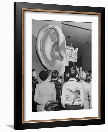 Enormous Ear on Display at Dallas Health Museum Demonstrates to Students How Sense of Balance Works-Michael Rougier-Framed Photographic Print