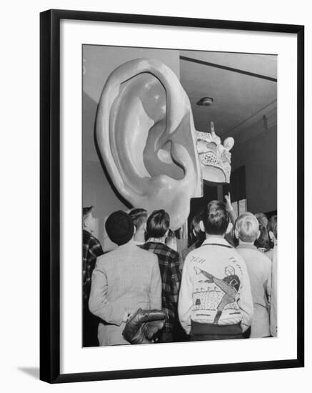 Enormous Ear on Display at Dallas Health Museum Demonstrates to Students How Sense of Balance Works-Michael Rougier-Framed Photographic Print