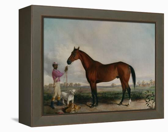 Enquirer, Bay Horse, 1932-Edward Troye-Framed Premier Image Canvas