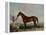 Enquirer, Bay Horse, 1932-Edward Troye-Framed Premier Image Canvas