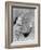 Enrico Fermi, Italian-American Physicist-null-Framed Photo