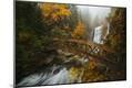 Photographic Print