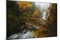 Photographic Print