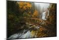 Premium Photographic Print