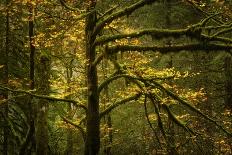 Echoes from the Past-Enrico Fossati-Photographic Print