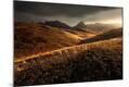 Photographic Print
