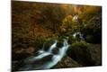 Photographic Print