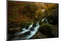 Photographic Print