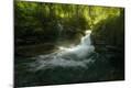 Photographic Print