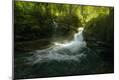 Photographic Print