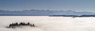 Sunset over the sea of fog on the Uetliberg near Zurich-enricocacciafotografie-Framed Photographic Print
