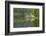 Enroute to Bergen, Norway.-Mallorie Ostrowitz-Framed Photographic Print