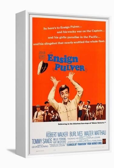 Ensign Pulver-null-Framed Stretched Canvas