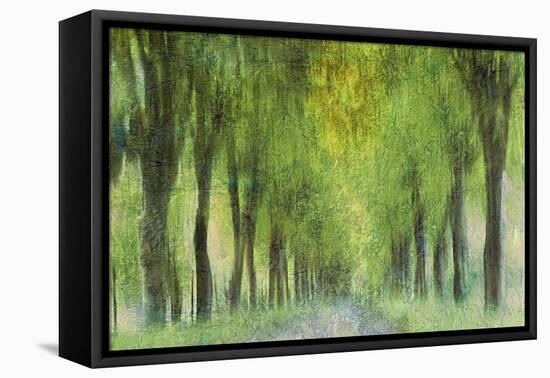 Entangled In Sunlight-Jacob Berghoef-Framed Premier Image Canvas