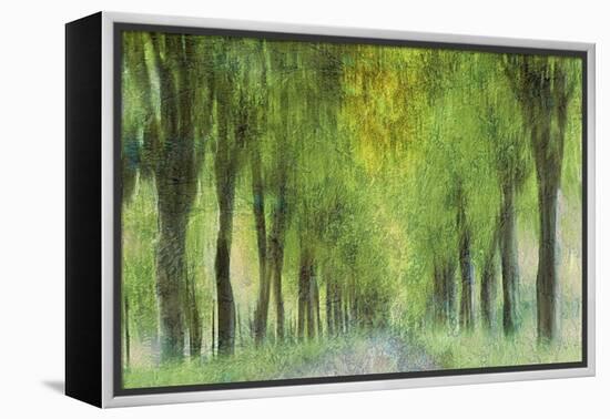 Entangled In Sunlight-Jacob Berghoef-Framed Premier Image Canvas