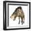 Entelodon, White Background-Stocktrek Images-Framed Art Print