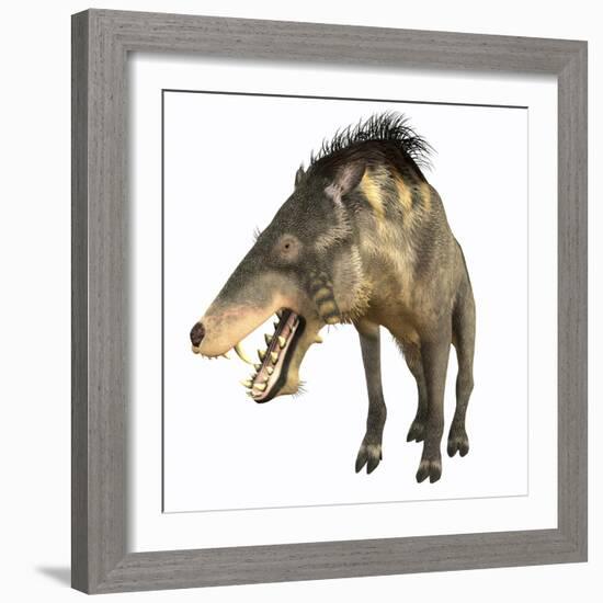 Entelodon, White Background-Stocktrek Images-Framed Art Print