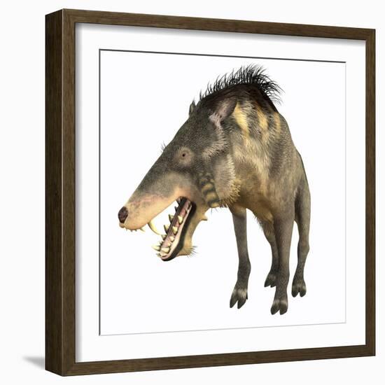 Entelodon, White Background-Stocktrek Images-Framed Art Print