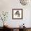 Entelodon, White Background-Stocktrek Images-Framed Art Print displayed on a wall