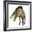 Entelodon, White Background-Stocktrek Images-Framed Art Print