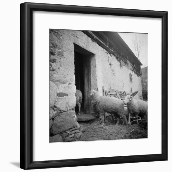 Enter the Flock to the Fold Loncamp. East Elevation-null-Framed Giclee Print