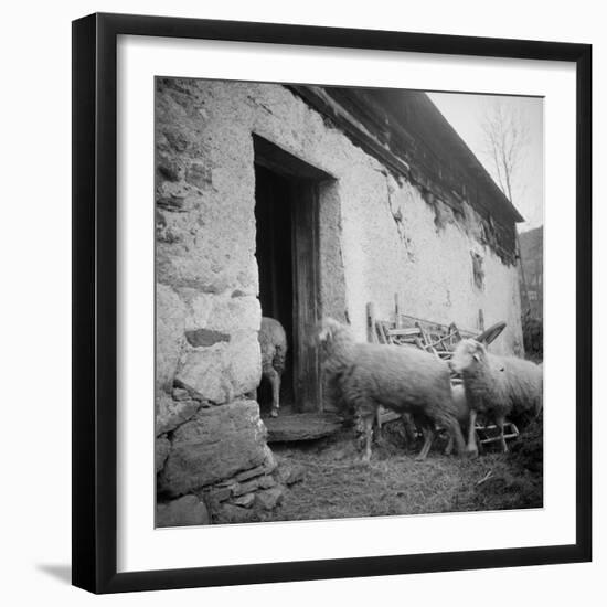 Enter the Flock to the Fold Loncamp. East Elevation-null-Framed Giclee Print