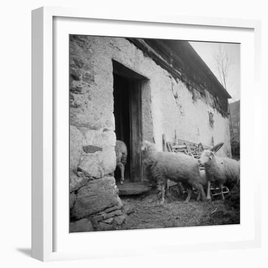 Enter the Flock to the Fold Loncamp. East Elevation-null-Framed Giclee Print