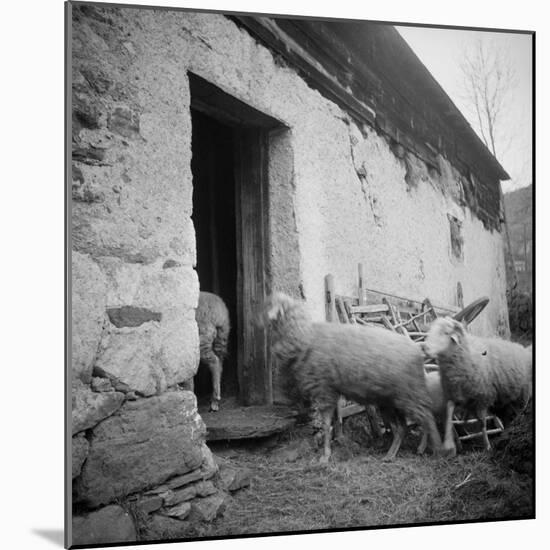 Enter the Flock to the Fold Loncamp. East Elevation-null-Mounted Giclee Print