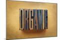Premium Photographic Print